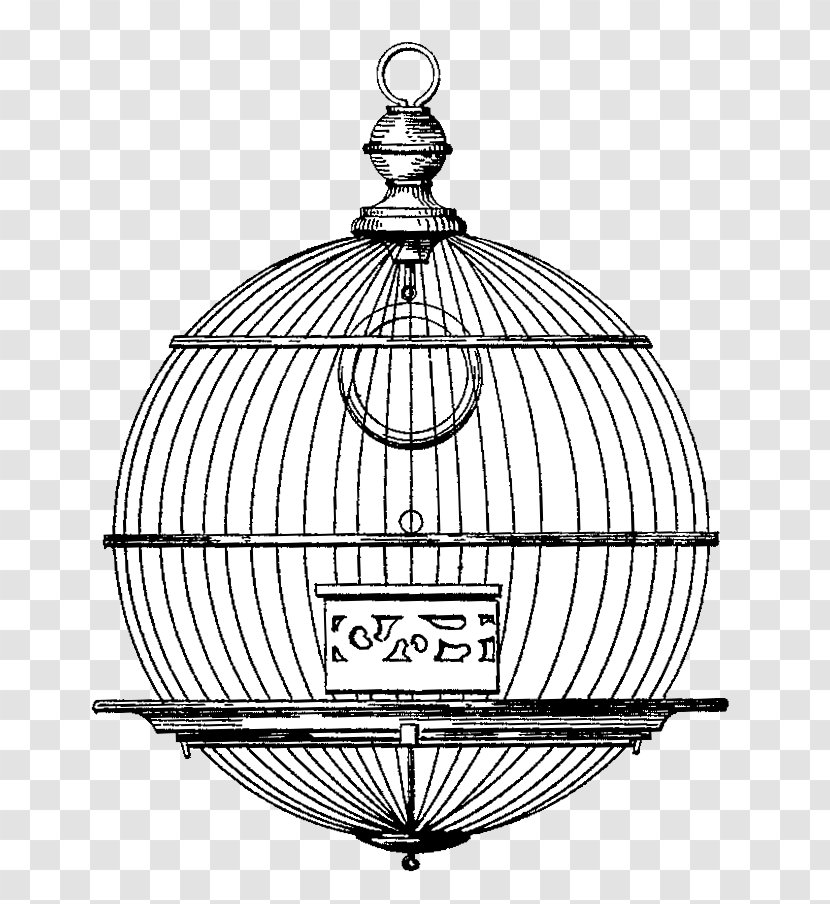 Birdcage Drawing - Ceiling Fixture Transparent PNG