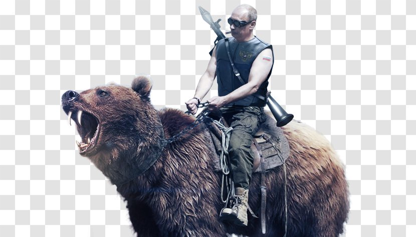 Russian Armed Forces Bear Military Exercise - Russia - путин Transparent PNG