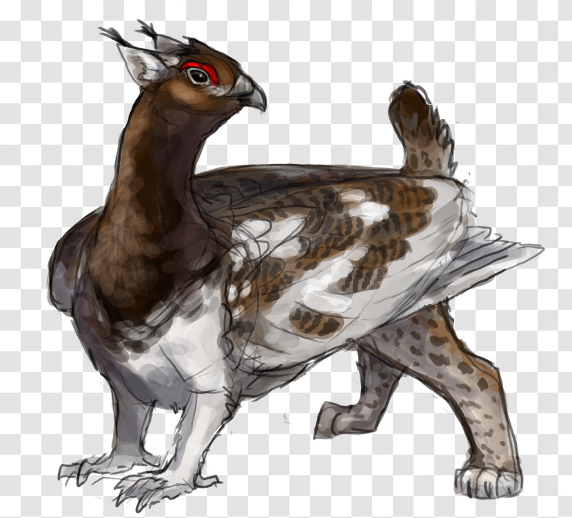 Hare Dog Canidae Pet - Extinction - Willow Ptarmigan Transparent PNG