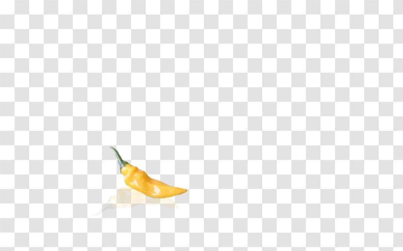 Petal Capsicum - Peppers - Small Pepper Transparent PNG