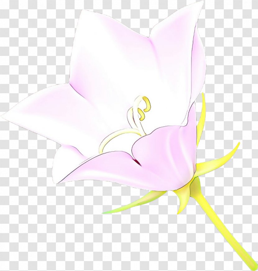 White Pink Flower Plant Clip Art - Pedicel Flowering Transparent PNG