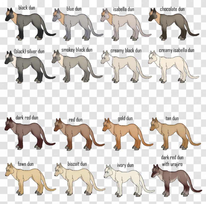 Dog Breed Cat Terrestrial Animal Fauna - Big Cats Transparent PNG