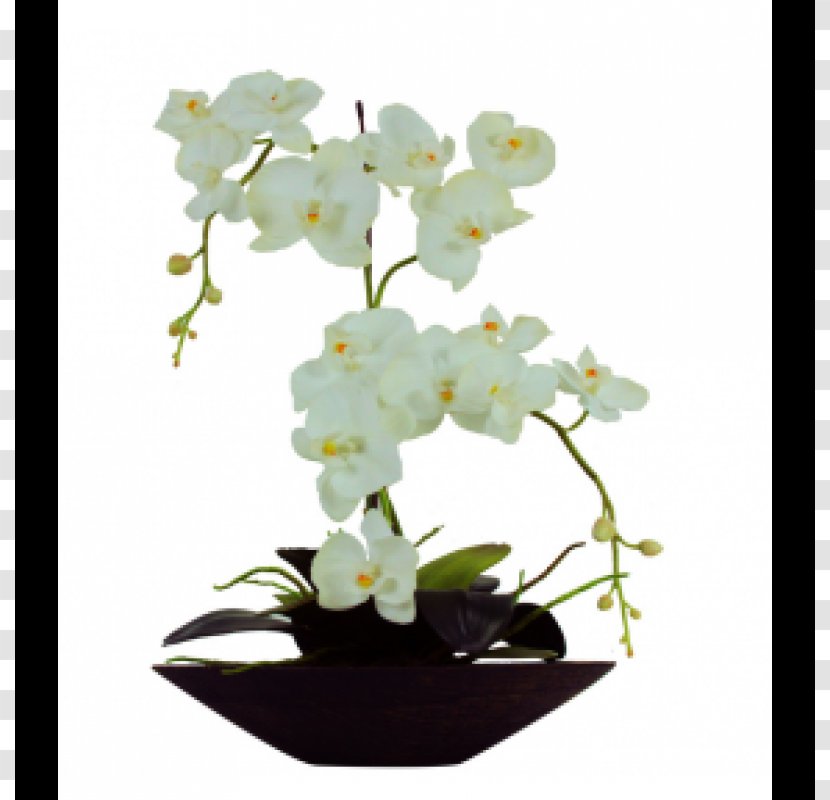 Moth Orchids White Vase Glass - Flower Transparent PNG