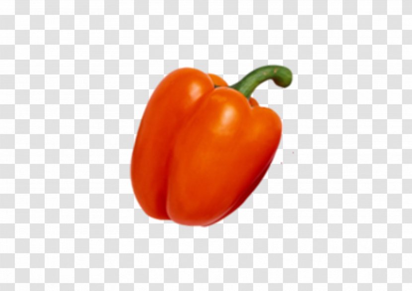 Habanero Bell Pepper Cayenne Tabasco Vegetarian Cuisine - Vegetable - Hand-painted Transparent PNG