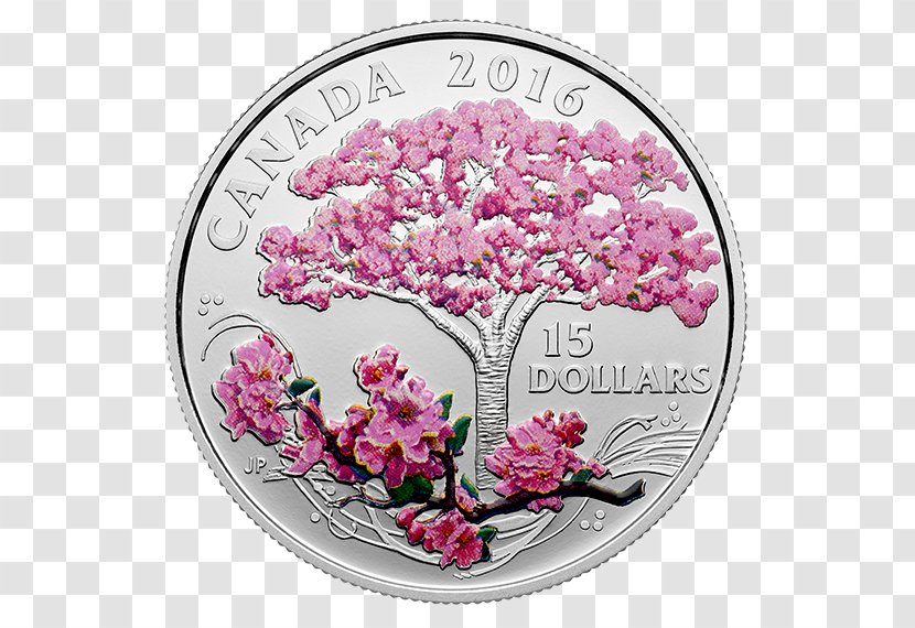 Canada Silver Coin Cherry Blossom - Pink - Mint Flowers Transparent PNG