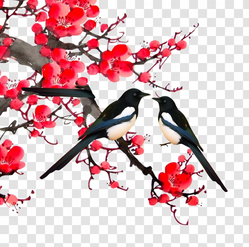 Bird-and-flower Painting - Software - Magpie Apricot Transparent PNG