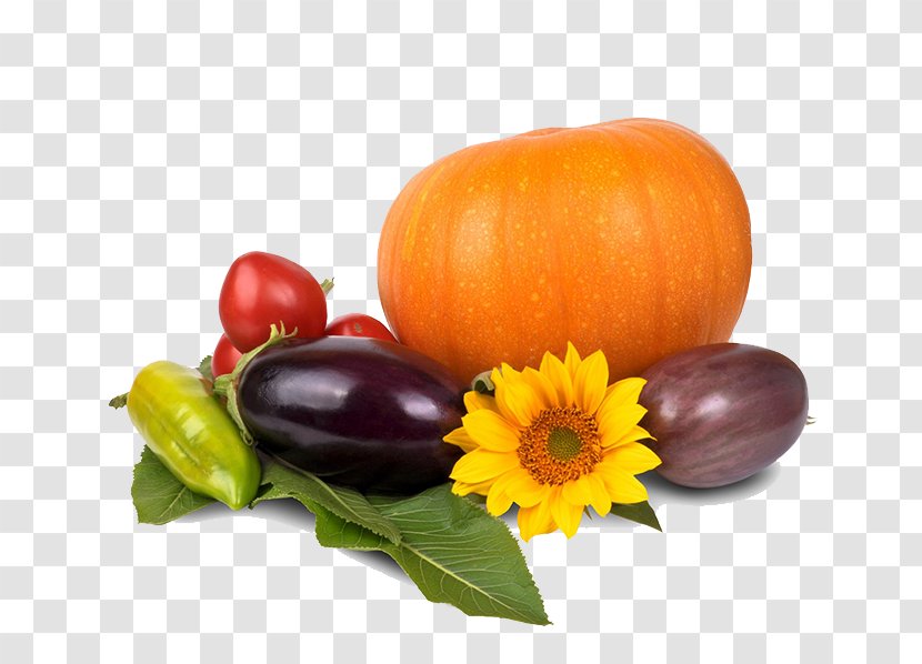 Organic Food Vegetarian Cuisine Health Diet Veganism - Weight Loss - Thanksgiving Pumpkin Image Transparent PNG