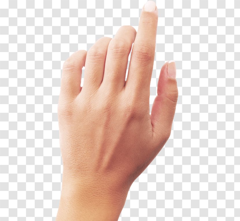 Hand - Thumb - Hands Image Transparent PNG
