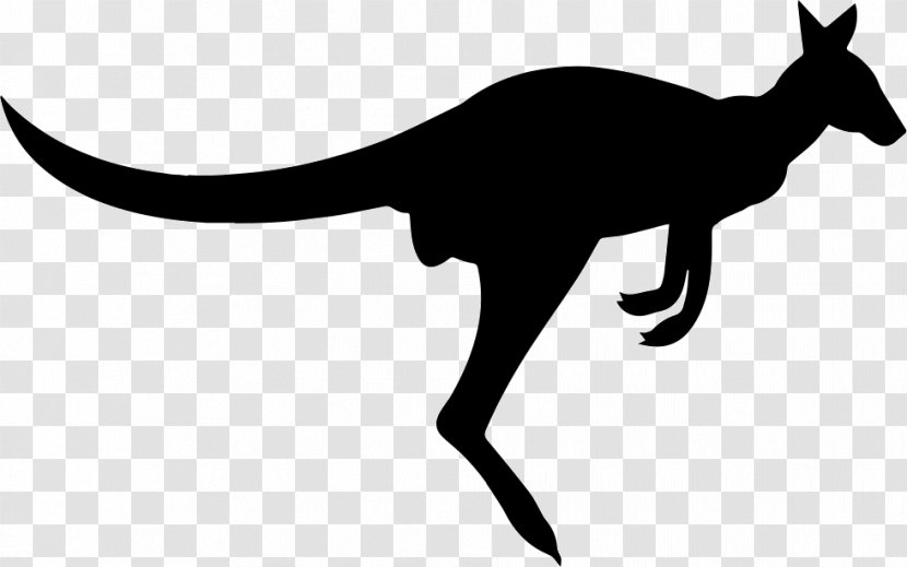 Clip Art Vector Graphics Kangaroo Illustration - Dinosaur - Fox Silhouette Mammal Transparent PNG