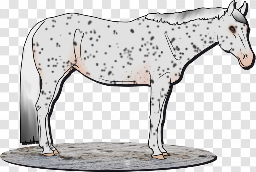 Mane Mustang Pony Mare Pack Animal - Livestock Transparent PNG