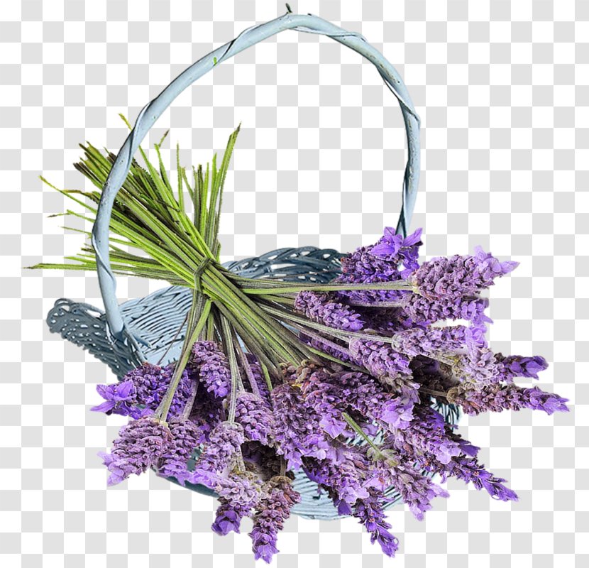 Desktop Wallpaper Flower Blog Lavender - Internet Forum Transparent PNG