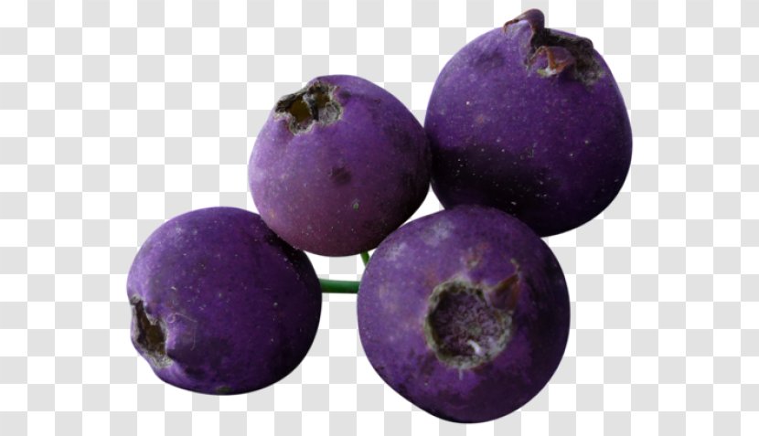 Blueberry Fruit Grape Currant - Purple Transparent PNG