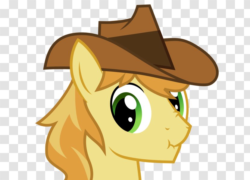 Cat Horse Cowboy Hat Pony Transparent PNG