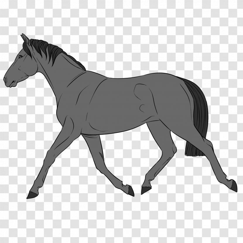 Mule Foal Mustang Stallion Rein - English Riding - Werner Transparent PNG