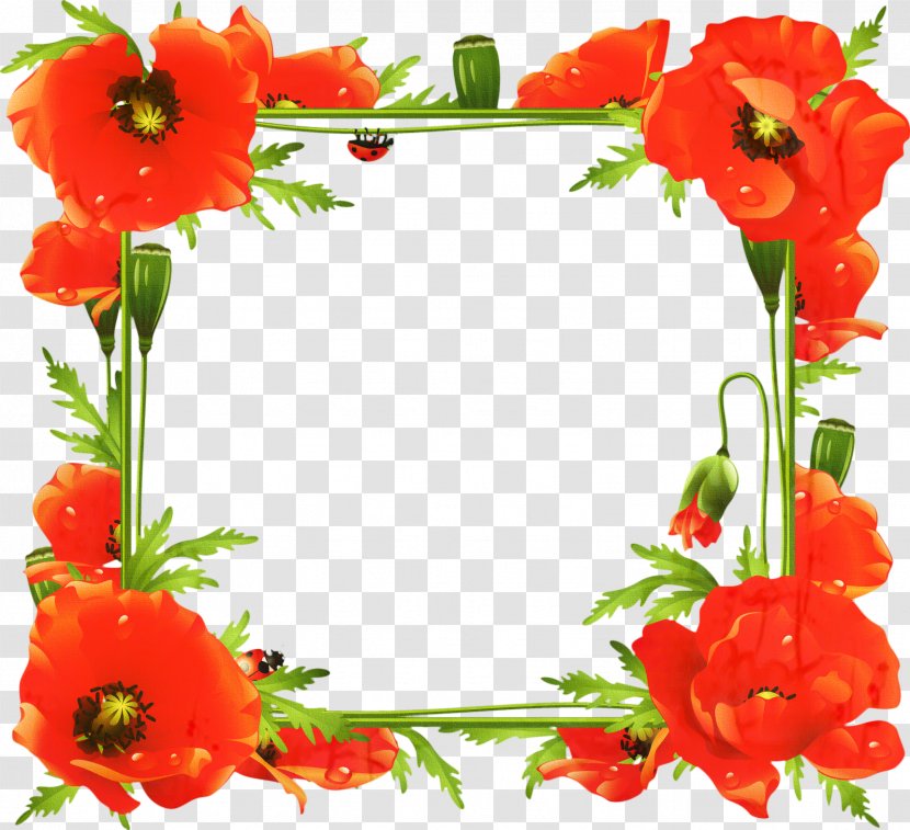 Red Background Frame - Interior Design - Wildflower Transparent PNG