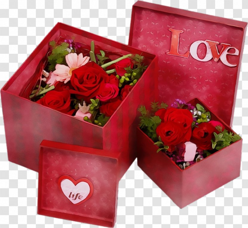 Valentine's Day - Petal - Bouquet Garden Roses Transparent PNG