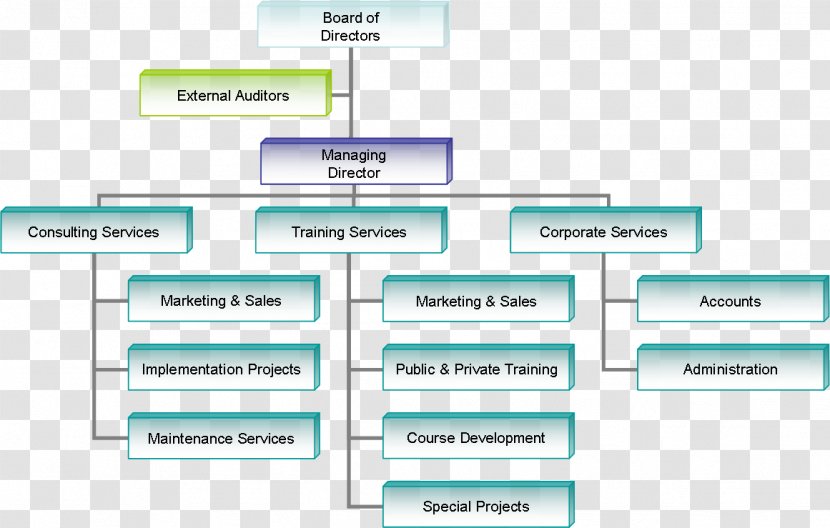 Organizational Chart Business Structure Company - Organization Transparent PNG