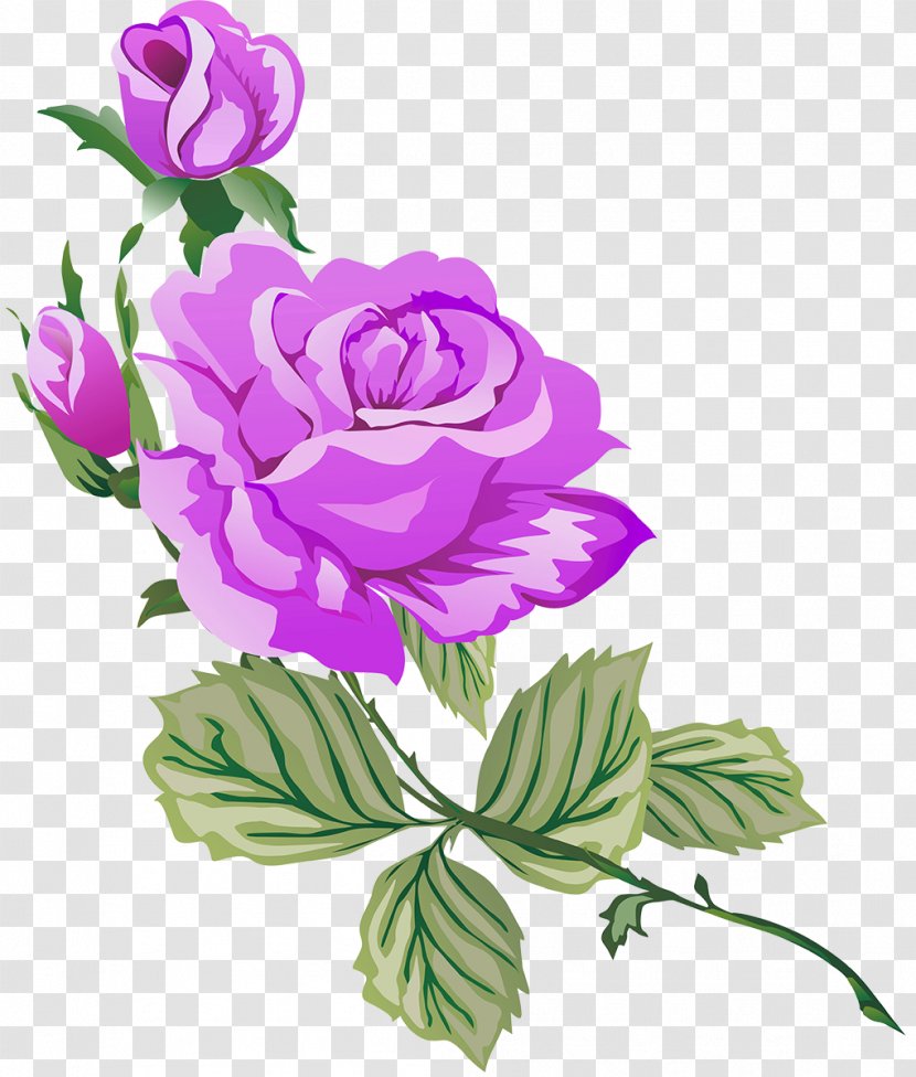 Garden Roses - Petal - Lilac Transparent PNG