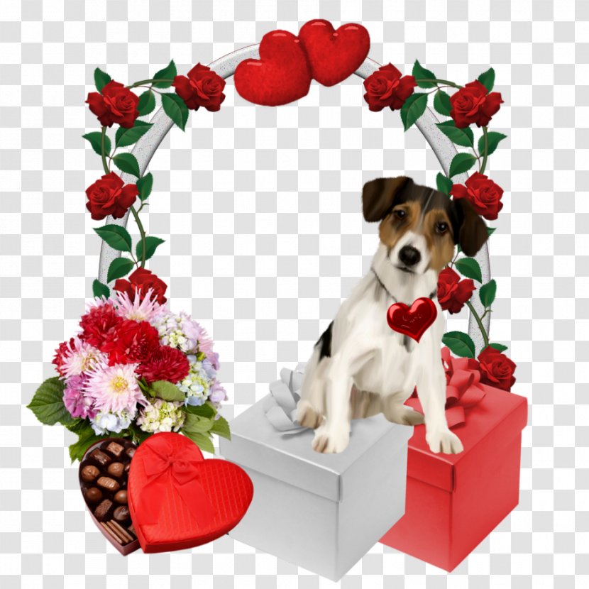 Dog Breed Puppy Jack Russell Terrier Companion Pet - Flowering Plant Transparent PNG