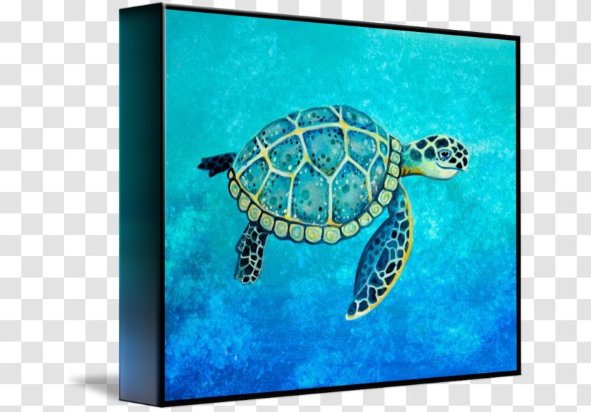 Loggerhead Sea Turtle Painted Pond Turtles Transparent PNG