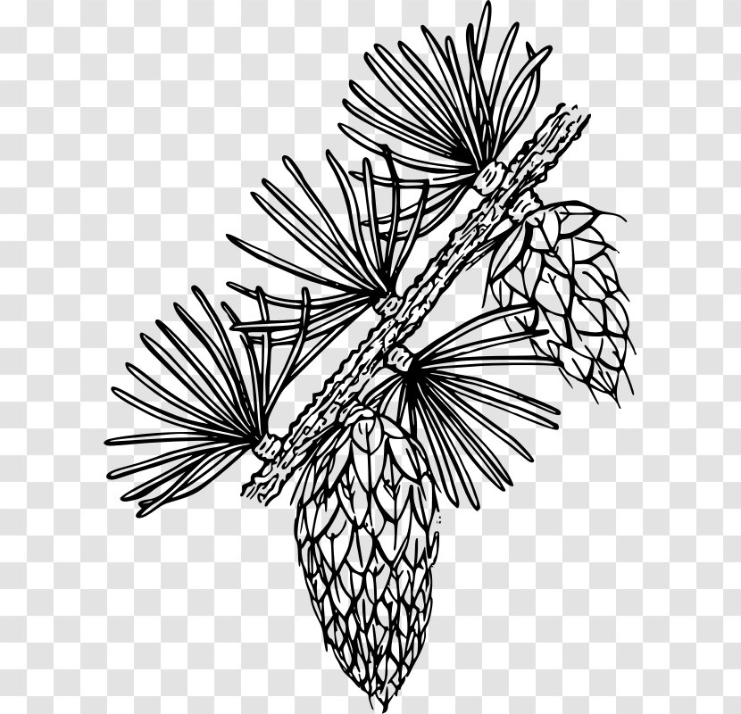 Line Art Flower Clip - Woody Plant Transparent PNG