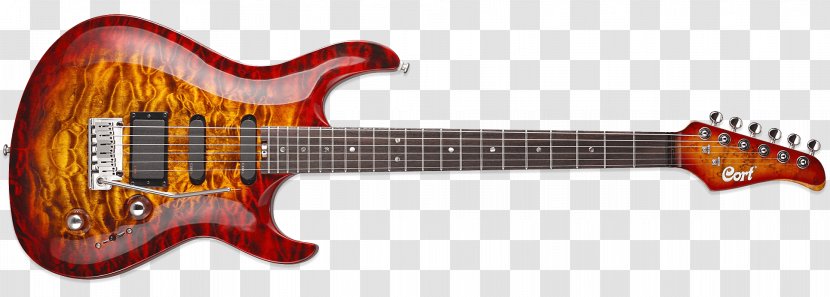 Fender Stratocaster Electric Guitar Cort Guitars Ibanez RG - Cartoon Transparent PNG