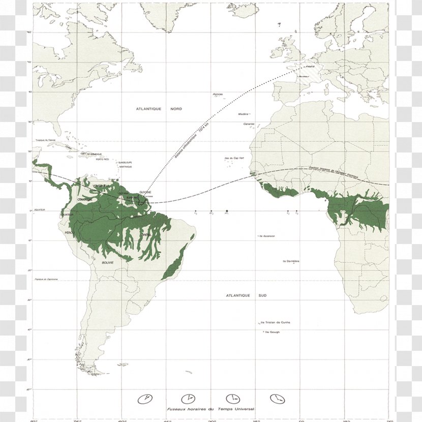 Map Tuberculosis - World Transparent PNG