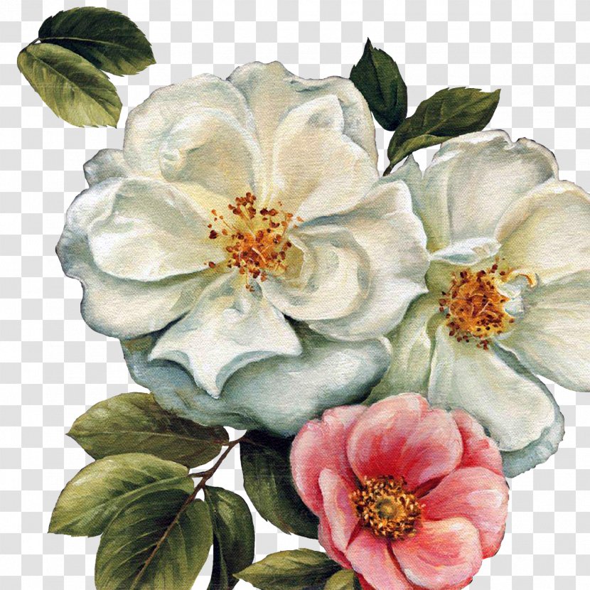 Paper Flower Painting Canvas Art - Magnolia Family - Audit Transparent PNG