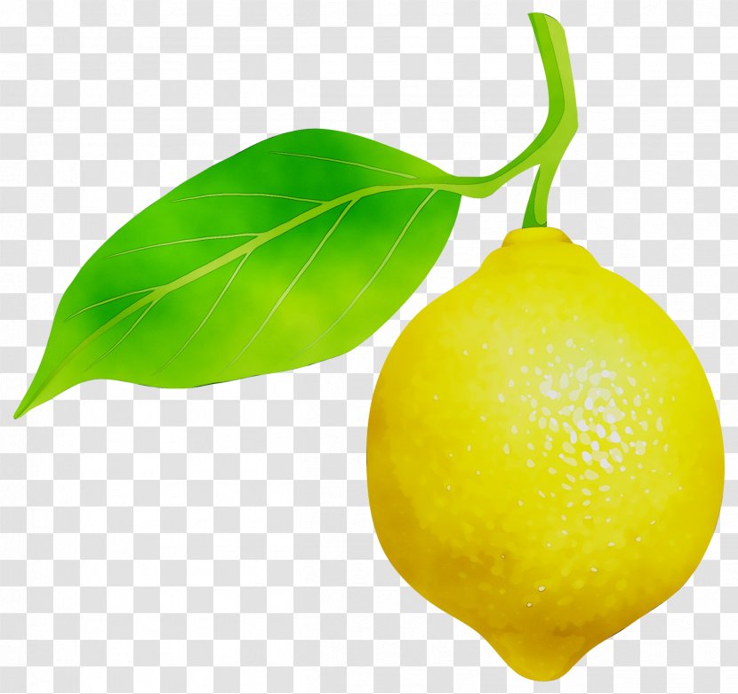 Sweet Lemon Key Lime Citron - Tangelo Transparent PNG