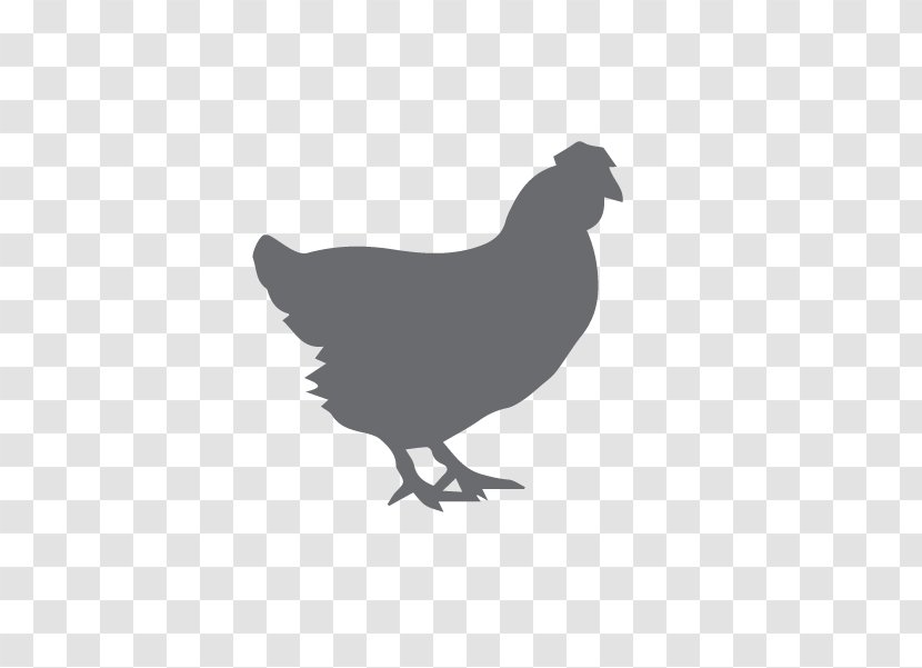 Orpington Chicken Barbecue Broiler Poultry - Fowl Transparent PNG