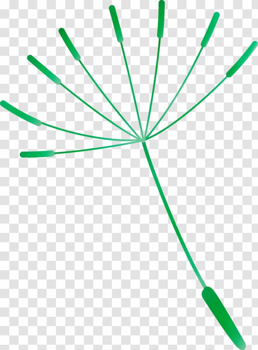 Leaf Plant Stem Green Line Meter Transparent PNG