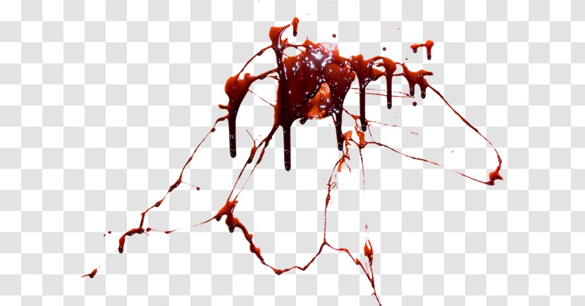 Blood Clip Art - Insect Transparent PNG