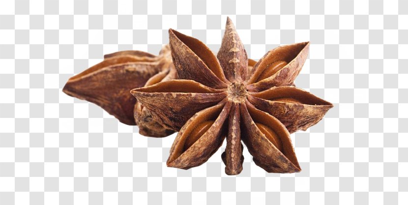 Star Anise Chinese Cuisine Spice Herb - Food Transparent PNG