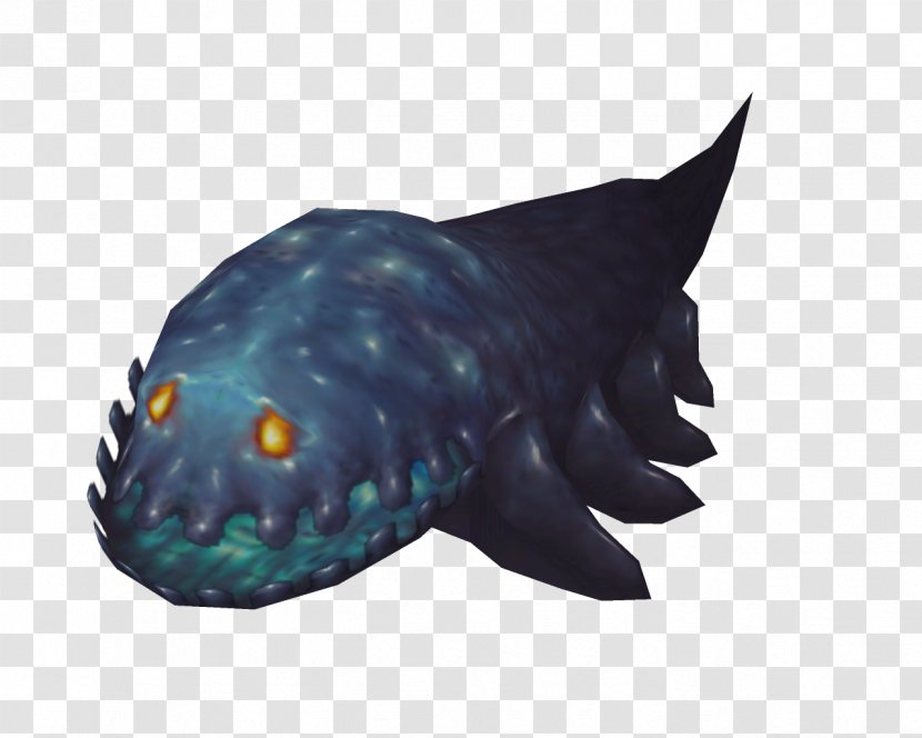 Marine Biology Turquoise Fish - Death's Head Transparent PNG