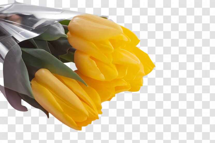 Blossom Flower - Yellow Pepper - Takuan Dish Transparent PNG