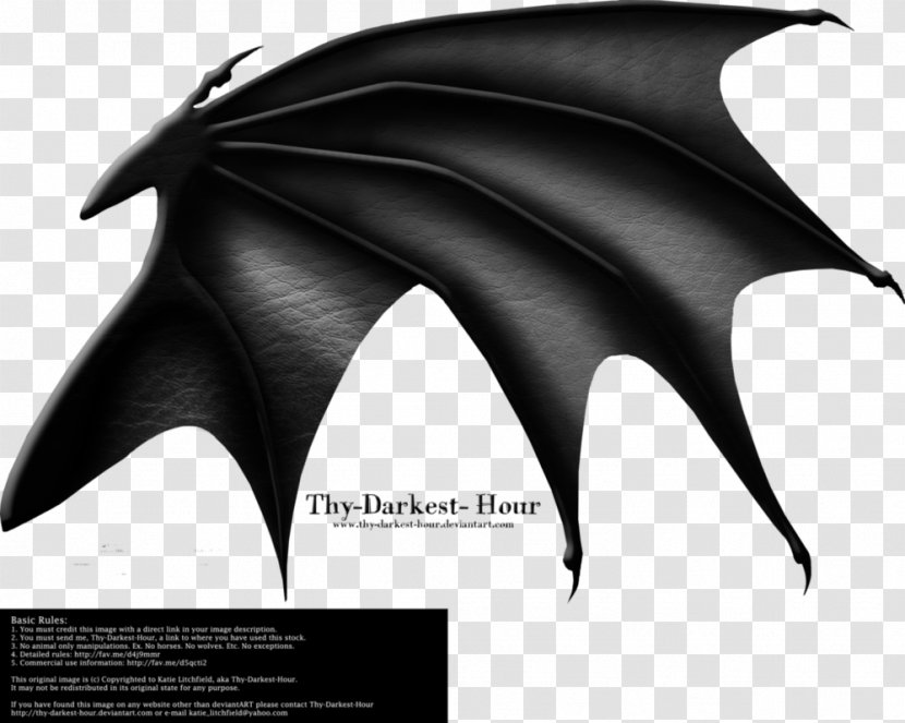 Drawing Dragon Clip Art - Bat - Evil Transparent PNG