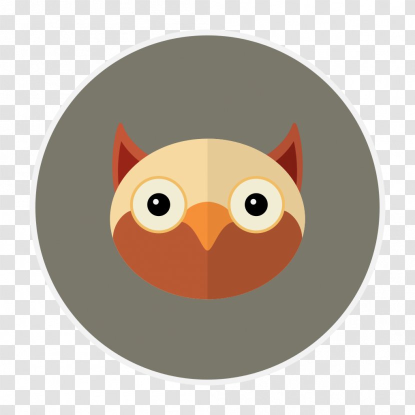 Owl - Owls Transparent PNG