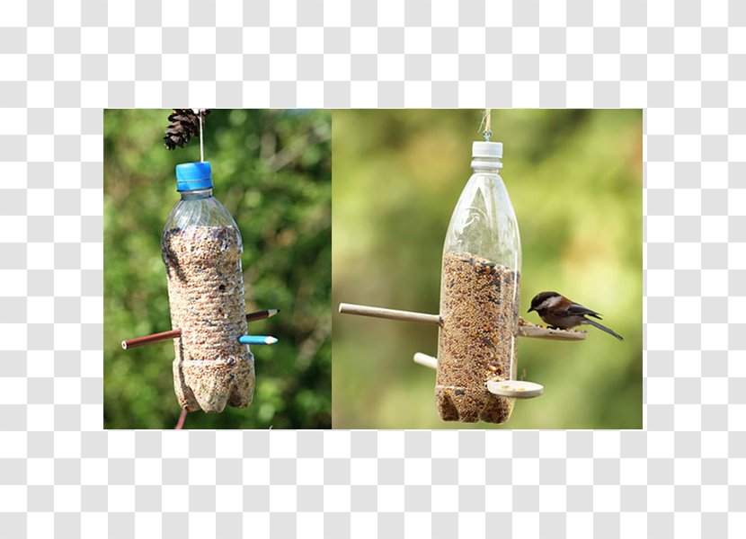 Bird Feeders Plastic Bottle Feeding Recycling - Pet Transparent PNG