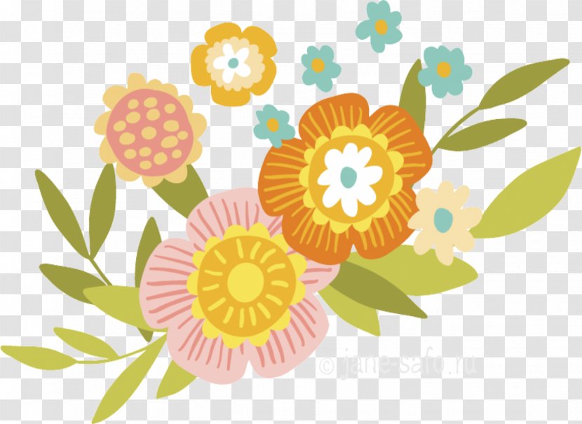 Floral Flower Background - Petal - Camomile Daisy Transparent PNG