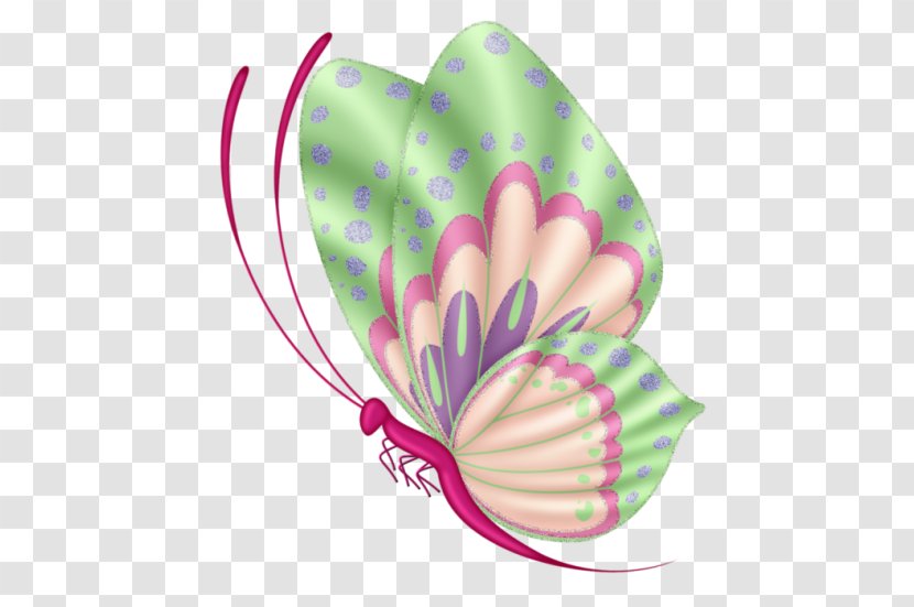 Butterfly Drawing Painting Transparent PNG