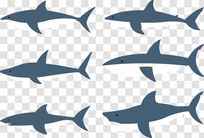 Shark Fish Clip Art - Animal - Vector Variety Of Sharks Transparent PNG