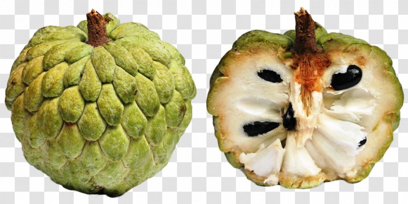 Custard-apple Sugar-apple Annona Squamosa Cherimoya - Pitaya - Apple Transparent PNG