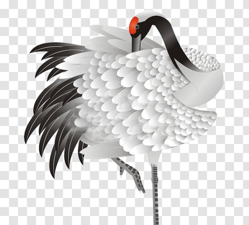 Red-crowned Crane Bird Siberian Plumage - Feather Transparent PNG