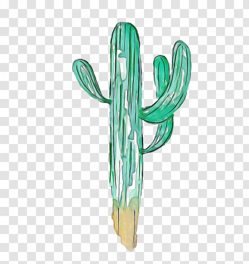 Cactus Cartoon - Plants - Hedgehog Flower Transparent PNG