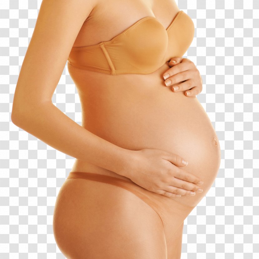 Abdominoplasty Abdomen Surgery Liposuction Caesarean Section - Frame - Pregnant Women Illustration Transparent PNG