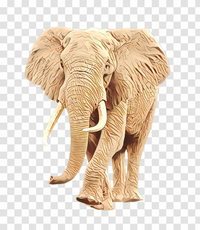 Indian Elephant Transparent PNG