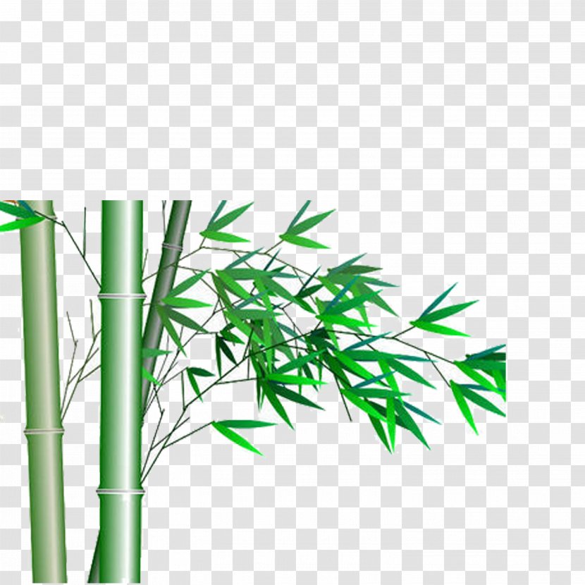 Bamboo Icon - Computer Graphics Transparent PNG