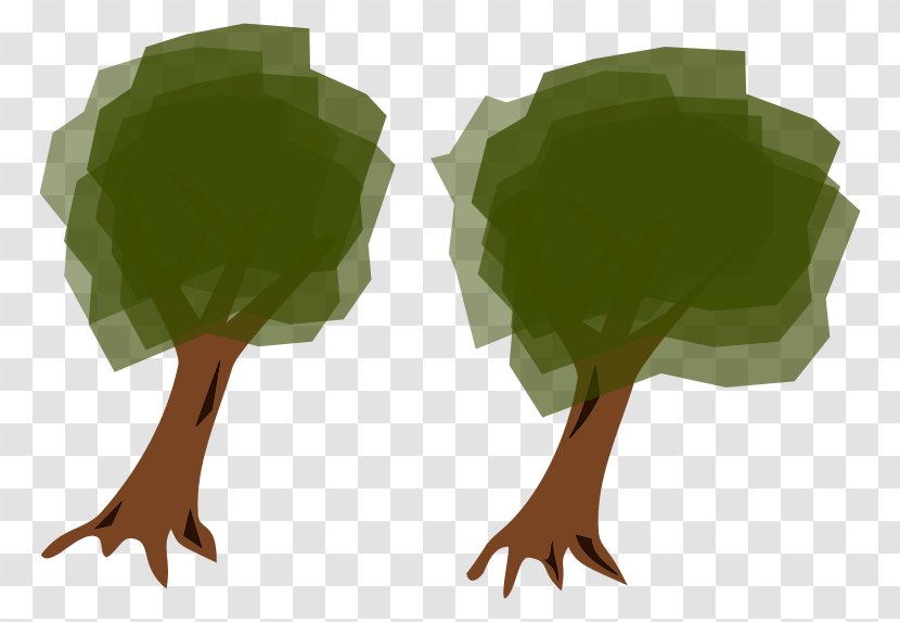 Tree SVGZ Clip Art - Spruce Transparent PNG