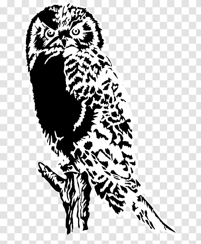 Owl Black And White Bird Clip Art - Tail - Eastern Screech Transparent PNG