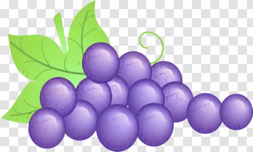 Grape Leaf - First Communion - Flower Berry Transparent PNG